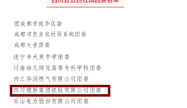 乐橙游戏官网钒钛团委荣获“四川省五四红旗团委”称号