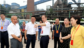 省决咨委主任陈光志一行及在乐十三届全国和省人大代表到乐橙游戏官网钒钛调研项目建设