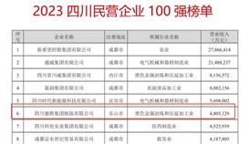 连续六年！乐橙游戏官网集团上榜“四川民营企业100强”