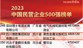 乐橙游戏官网集团连续14年上榜中国民营企业500强